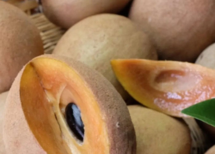 Cek di Sini! 7 Efek Samping Buah Sawo bagi Kesehatan, Hati-hati Berlebihan 