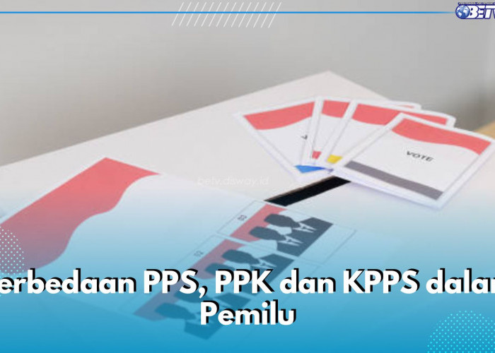 Wajib Tahu! Ini Perbedaan PPS, PPK, dan KPPS dalam Pemilu, Apa Tugas Mereka?