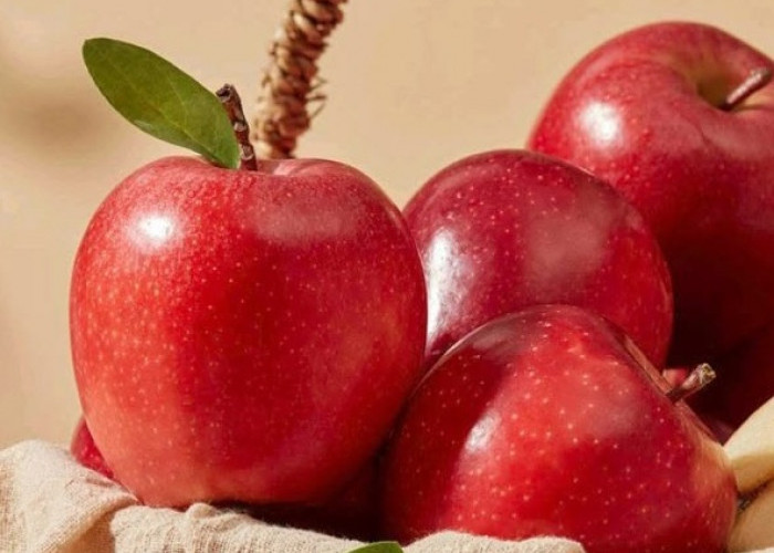Bantu Jaga Kulit Tetap Sehat, 7 Manfaat Buah Apel untuk Kecantikan yang Perlu Diketahui 