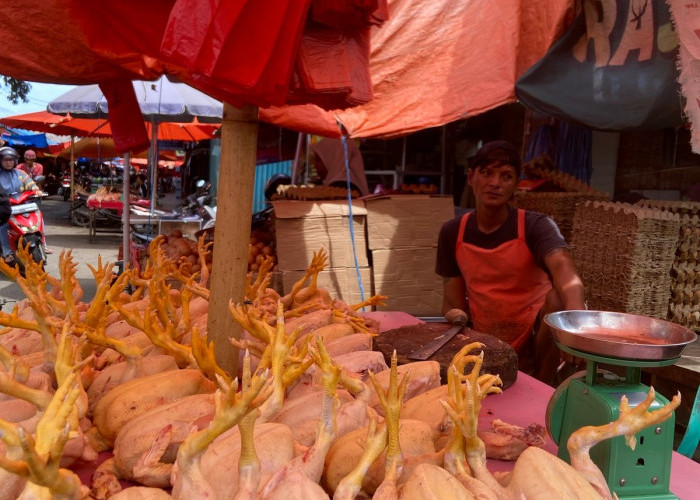 Pedagang Pasar Minggu Siap Pindah Asal Diberi Kios Gratis