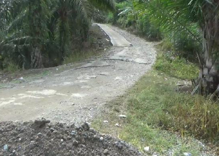 Komisi I DPRD Kabupaten Kaur Soroti Pembangunan Akses Jalan Bukit Makmur yang Molor