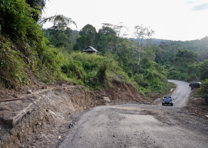 Tinjau Lokasi, Wagub Mian Targetkan Pembukaan Badan Jalan Lintas Curup-Lebong Mulai Bergerak