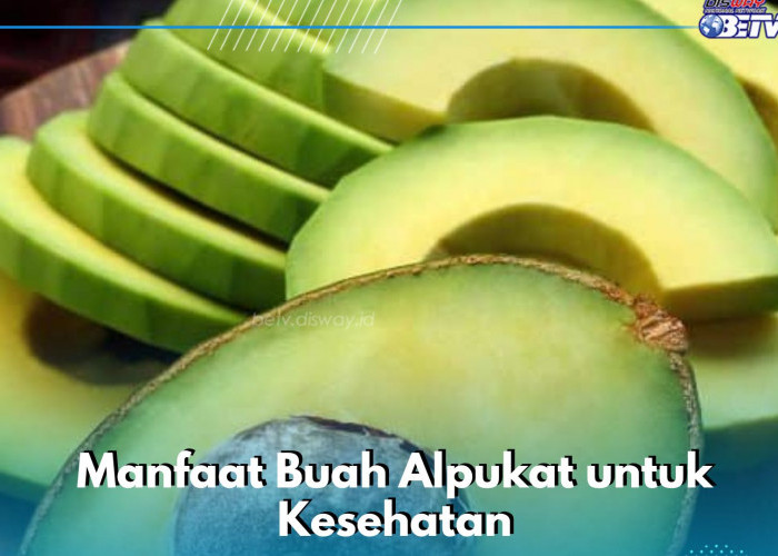 Manfaat Konsumsi Buah Alpukat Sehari-hari, Ampuh Menjaga Kesehatan Mata, Cek di Sini!