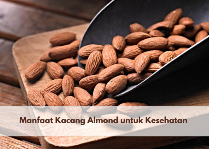 Jarang Diketahui! Inilah 7 Manfaat Kacang Almond untuk Kesehatan, Salah Satunya Mencegah Demensia