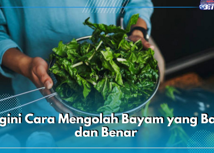 Begini Cara Mengolah Bayam yang Baik dan Benar, Bermanfaat Untuk Kesehatan Tubuh