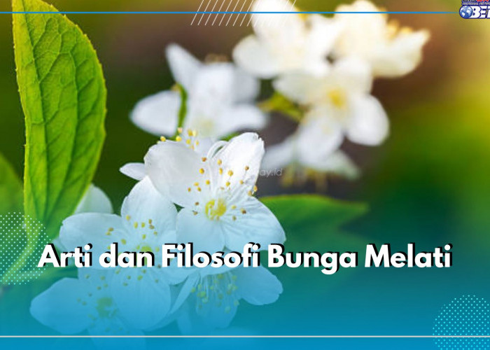 Erat dengan Hal Mistis, Ternyata Ini 7 Arti Bunga Melati dan Filosofinya, Jadi Simbol Kesucian