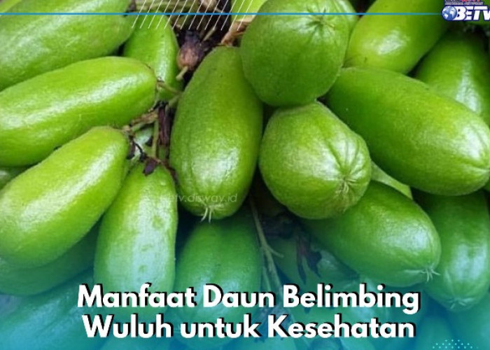  Ampuh Mengatasi Gigi Berlubang, Cek Manfaat Daun Belimbing Wuluh Ini yang Perlu Diketahui