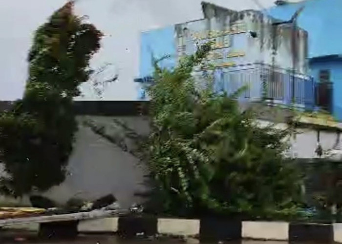 BREAKING NEWS: Angin Puting Beliung Terjang Permukiman Warga di Curup Utara