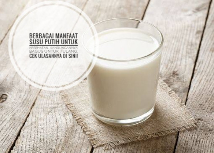 Berbagai Manfaat Susu Putih Untuk Kesehatan, Kandungannya Bagus untuk Tulang, Cek Ulasannya di Sini!