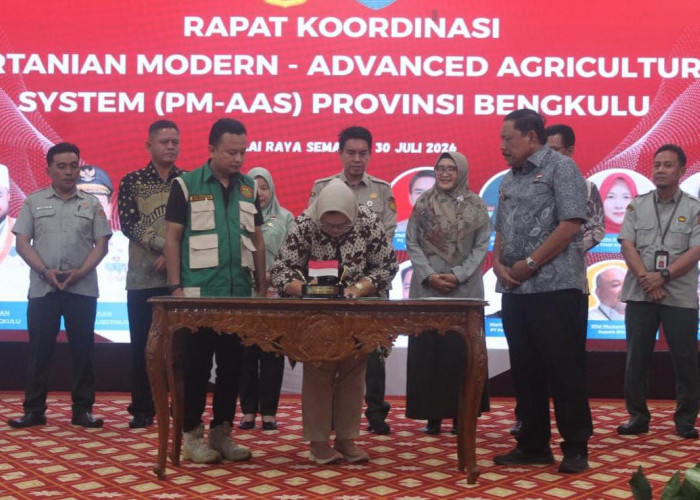 Pemprov Bengkulu Perkuat Sinergi Implementasi PM-AAS Demi Swasembada Pangan