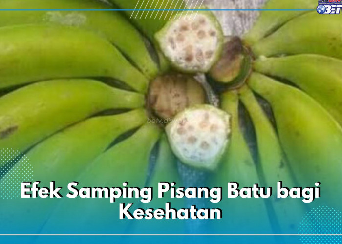 Berbahaya untuk Kesehatan, Ini 5 Efek Samping Pisang Batu Jika Dikonsumsi Tidak Wajar