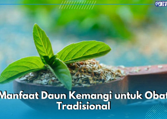 Catat! Ini 5 Manfaat Daun Kemangi untuk Obat Tradisional, Bisa Bantu Redakan Migrain hingga Turunkan Demam