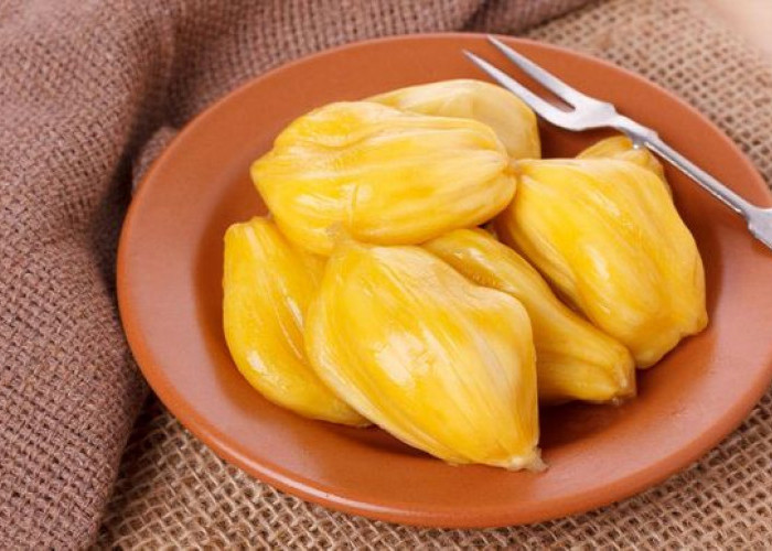 Baik untuk Kesehatan, Cek Disini Manfaat Buah Nangka Bagi Ibu Hamil 