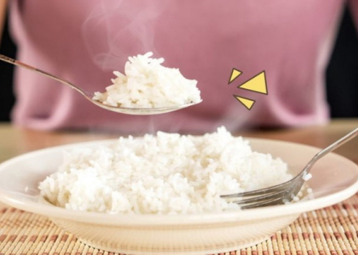 Manfaat Sarapan Nasi untuk Tubuh