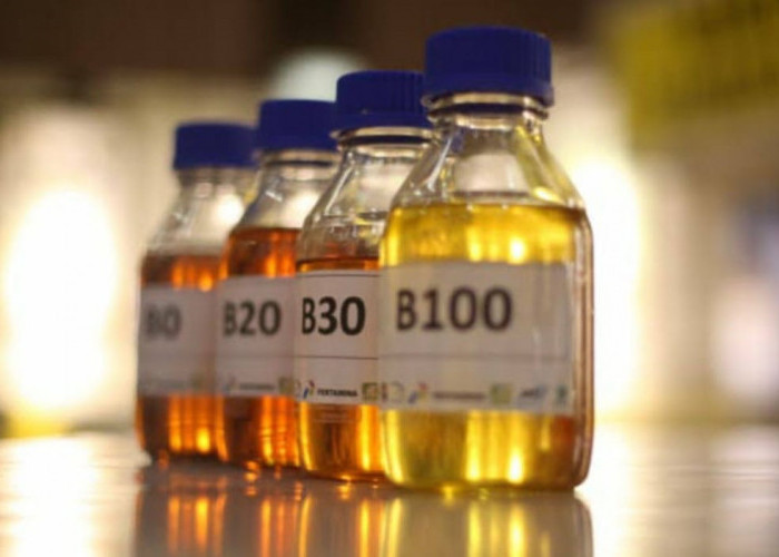 Kelebihan dan Kekurangan Penggunaan Biodiesel B35