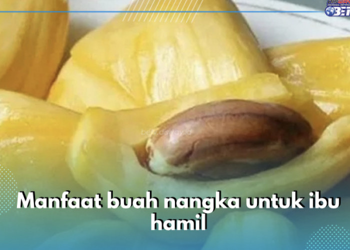 7 Manfaat Buah Nangka untuk Ibu Hamil, Berikan Energi Selama Masa Kehamilan Salah Satunya