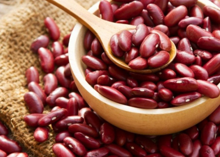 Kaya Protein dan Serat, Cek Manfaat Kacang Merah bagi Kesehatan di Sini