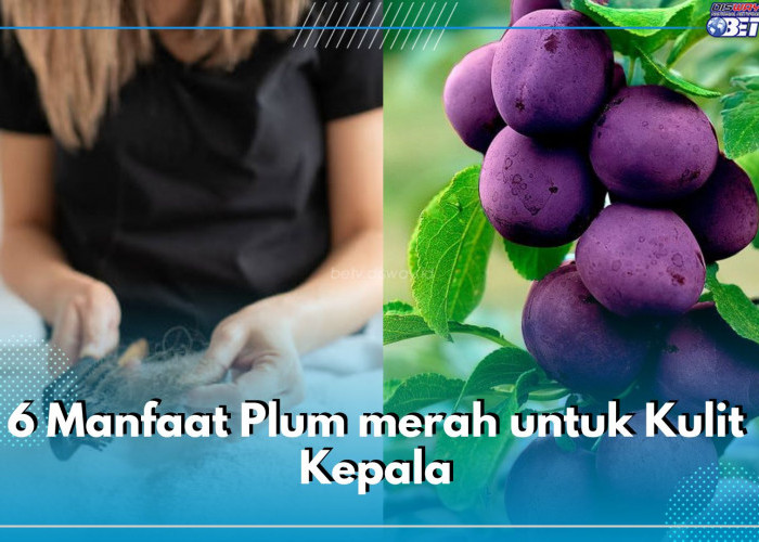 Mampu Atasi Kerontokan Rambut, Cek di Sini 6 Manfaat Buah Plum Bagi Kesehatan Kulit Kepala