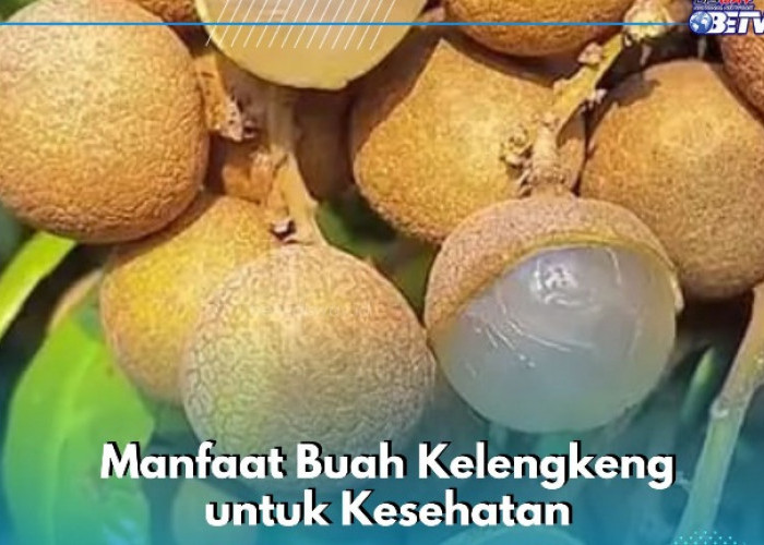 Buah Kelengkeng Ini Dapat Memperkuat Tulang, Cek Manfaat Lainnya
