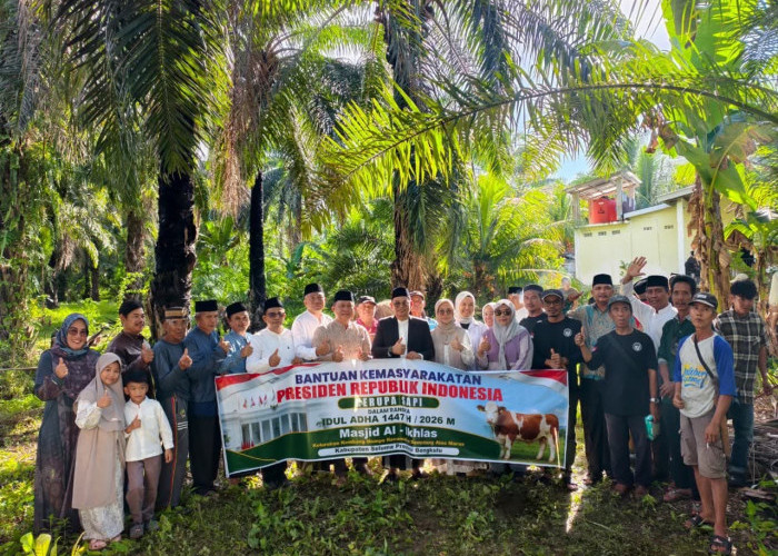 Iduladha 1447 H, Bupati Teddy Rahman Serahkan Sapi Kurban Bantuan Presiden untuk Warga Seluma