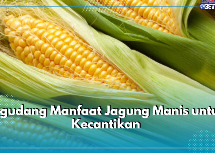 Jagung Manis Punya Segudang Manfaat untuk Kecantikan, Cek 5 Khasiatnya untuk Kulit Wajah