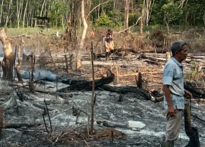 3 Hektar Lahan Sawit dan Karet Warga Seluma Terbakar