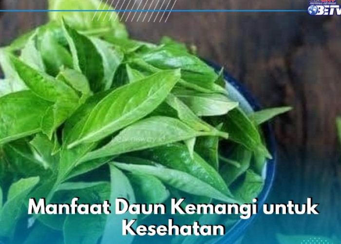 Daun Kemangi Bisa Jadi Obat Jerawat, Cek Manfaat Lainnya di Sini