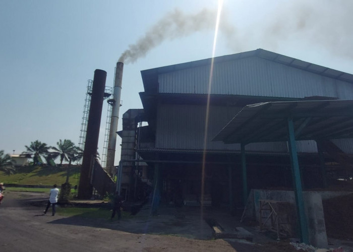 DPRD Bengkulu Tengah Sidak PT Agri Sawitindo, Temukan Dugaan Pencemaran Udara 