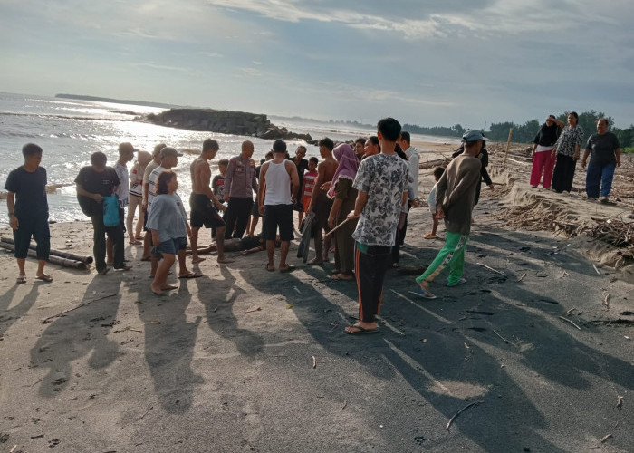 Pulang Mancing, Dua Remaja Kaur Terseret Ombak Pantai hingga Puluhan Meter