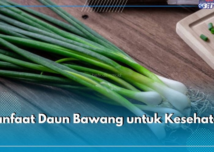 Penyedap Masakan, Ini Dia 10 Manfaat Daun Bawang untuk Kesehatan Tubuh Kamu