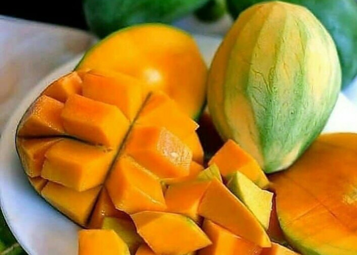 Hati-hati Konsumsi Berlebihan, Ini Efek Samping Buah Mangga bagi Kesehatan
