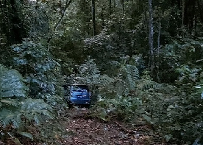 Diduga Setir Terkunci, Mobil Bawa 6 Penumpang Masuk Jurang di Liku Sembilan Bengkulu