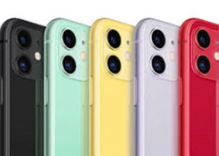 Harga iPhone 11 di iBox Turun Rp500.000 Hari Ini Senin 1 Januari 2024, Cek Fitur dan Spesifikasinya