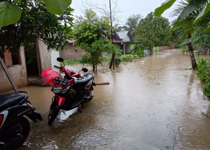 Hujan Deras dan Pasang Laut Sebabkan Banjir di Kota Bengkulu, 65 Jiwa Terpaksa Mengungsi