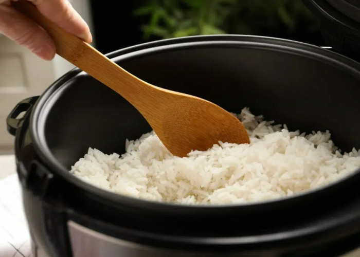 Bansos Rice Cooker 2023 Kapan Cair? Intip Jadwalnya, Lengkap dengan Syarat Penerima, Pastikan Kamu Termasuk!