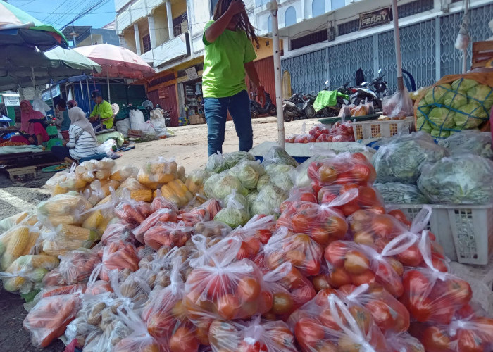 Dua Minggu Jelang Ramadhan, Harga Komoditas Sayuran di Kota Bengkulu Naik Signifikan