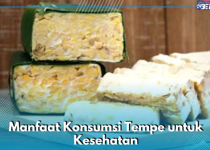 8 Manfaat Konsumsi Tempe bagi Kesehatan Tubuh, Ampuh Menekan Nafsu Makan