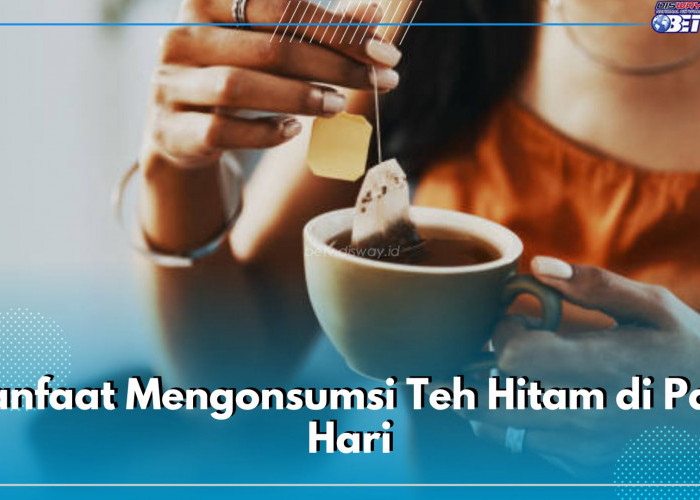 Cek Manfaat Minum Teh Hitam di Pagi Hari, Khasiatnya Sangat Luar Biasa untuk Kesehatan Tubuh