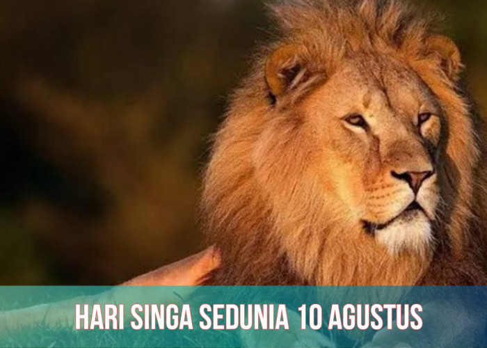 Hari Singa Sedunia 10 Agustus: Populasi Makin Dikit, Ternyata Segini Jumlah 'Si Raja Hutan' di Dunia 
