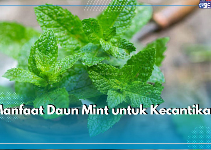 Baik untuk Kulit hingga Rambut, Ini 5 Manfaat Daun Mint untuk Kecantikan yang Perlu Kamu Ketahui