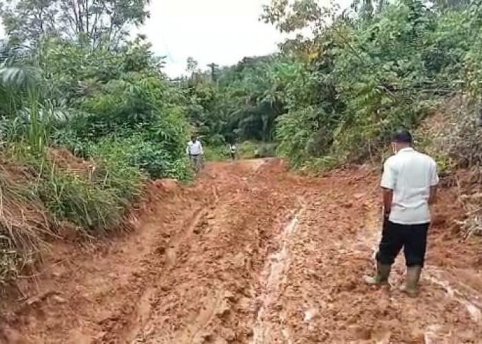Rusak Parah, Jalan Provinsi Bak Kubangan Kerbau