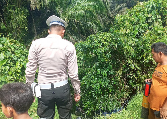 Hendak Menyalip Truk, Mobil Suzuki Futura Terjun ke Jurang di Padang Pelasan Seluma