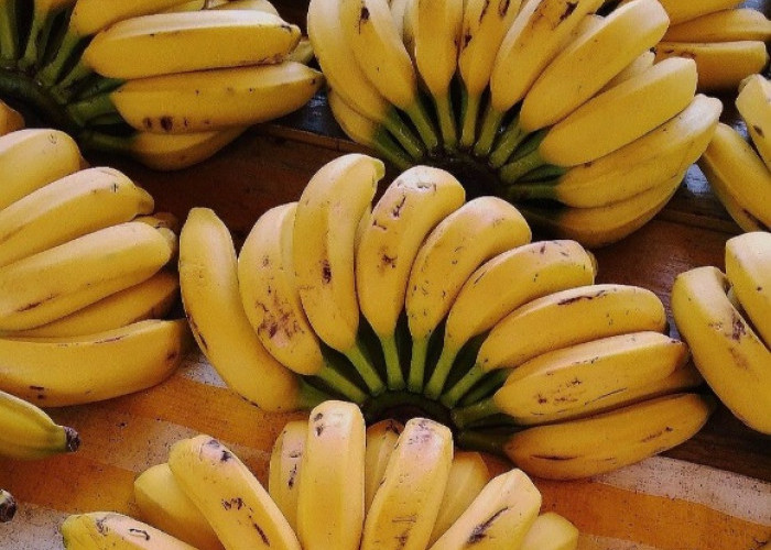 Menu Sehari-hari, Ini Makanan yang Baik untuk Lambung, Kamu Bisa Coba