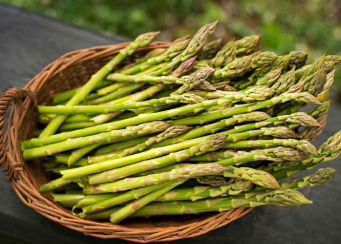 Ini 7 Efek Samping Konsumsi Asparagus Secara Berlebihan, Salah Satunya Bikin Alergi 