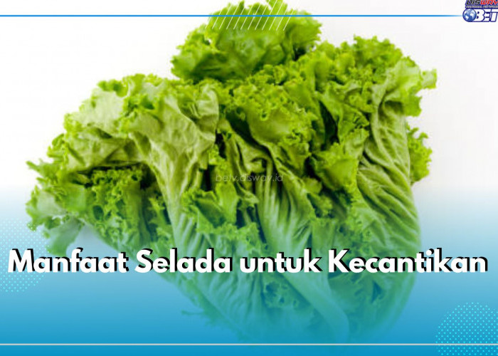 Tidak Banyak yang Tahu, Daun Selada Punya 7 Manfaat Ini untik Kecantikan, Sayang Dilewatkan!