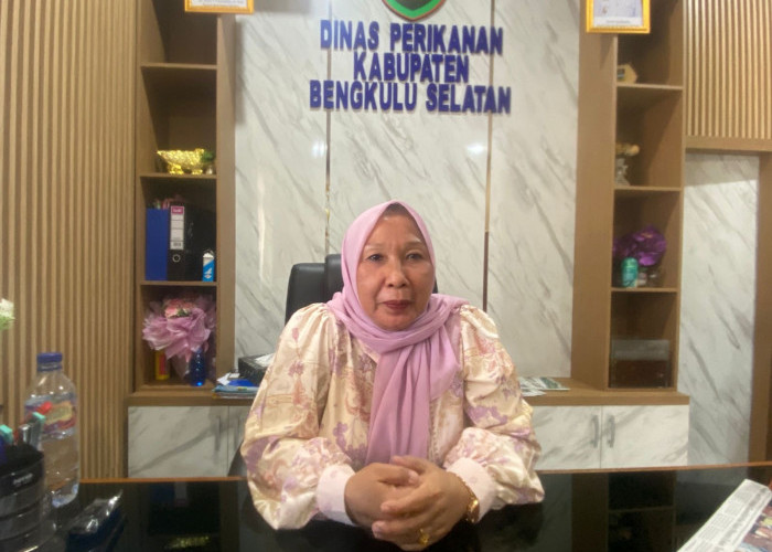 Lebih Murah dari Harga Pasar, Dinas Perikanan Bengkulu Selatan Buka Pusat Jajanan Serba Ikan Sebulan Sekali