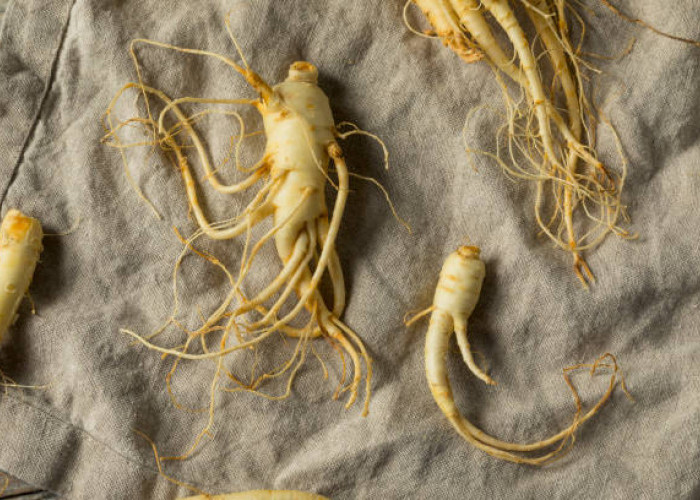 Catat! Inilah 5 Kandungan Utama Ginseng yang Bermanfaat Jaga Kesehatan Rambut