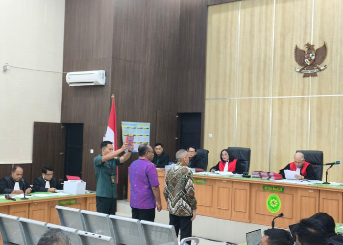 Sidang Korupsi PLTA Musi, Ahli LKPP Tegaskan Penyedia Tak Berhak Kerjakan Proyek