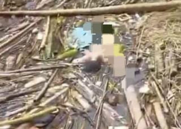 Warga Tebat Karai Geger, Mayat Wanita Tanpa Busana Ditemukan Mengambang di Sungai
