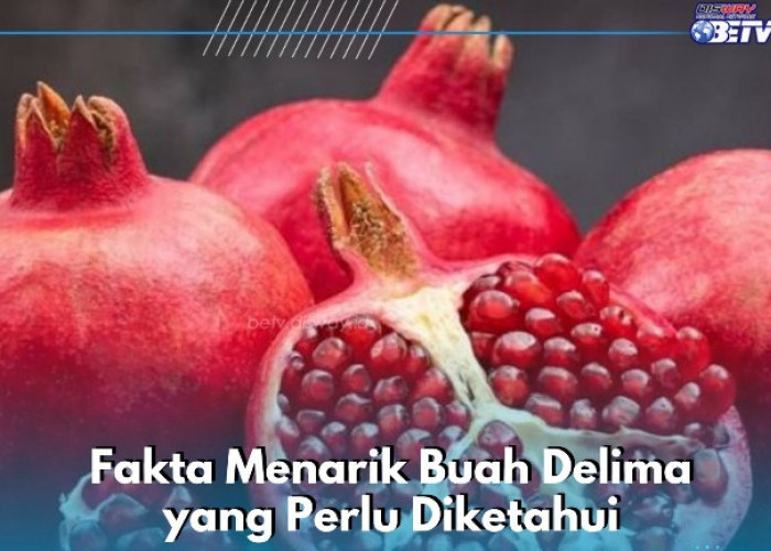 Cek di Sini! Fakta Menarik Buah Delima yang Sayang Dilewatkan, Bisa Jadi Obat Jerawat